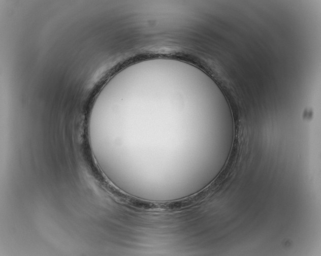 X0000113100544200908280954