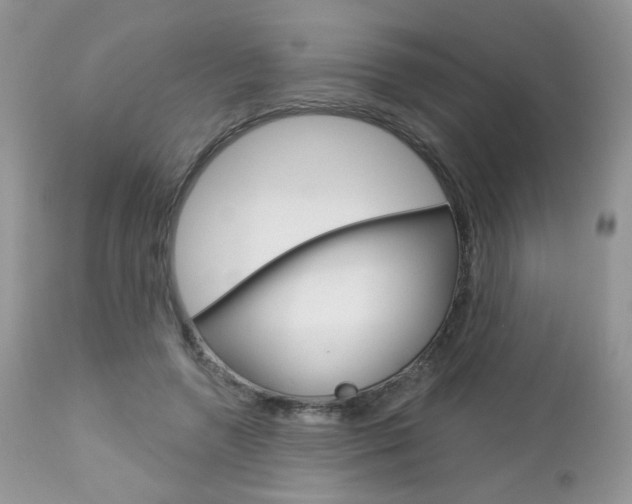X0000113100546200908280954