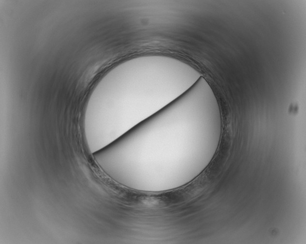 X0000113100547200908280954