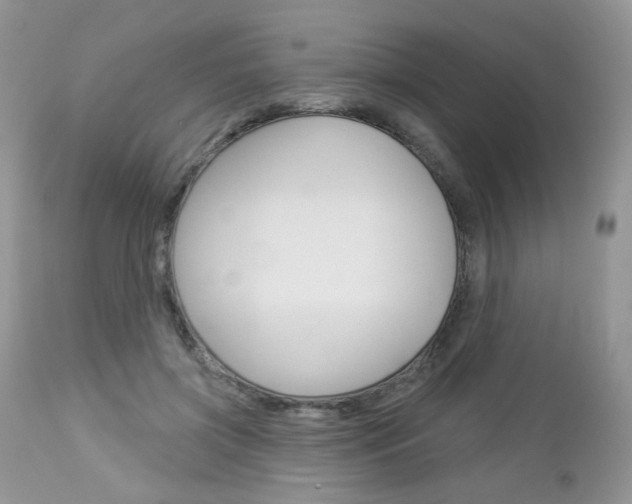 X0000113100549200908280954