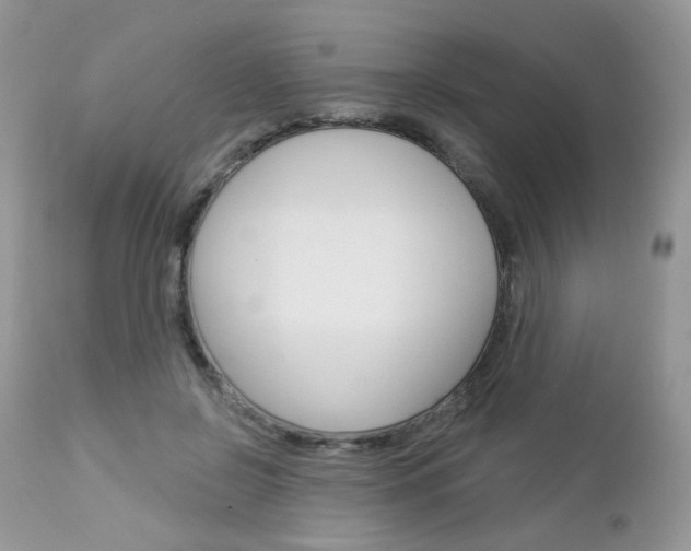 X0000113100550200908280954