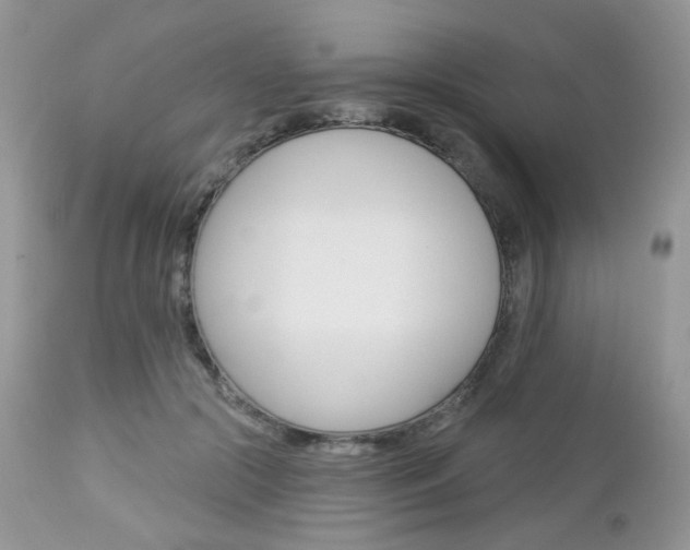 X0000113100553200908280954