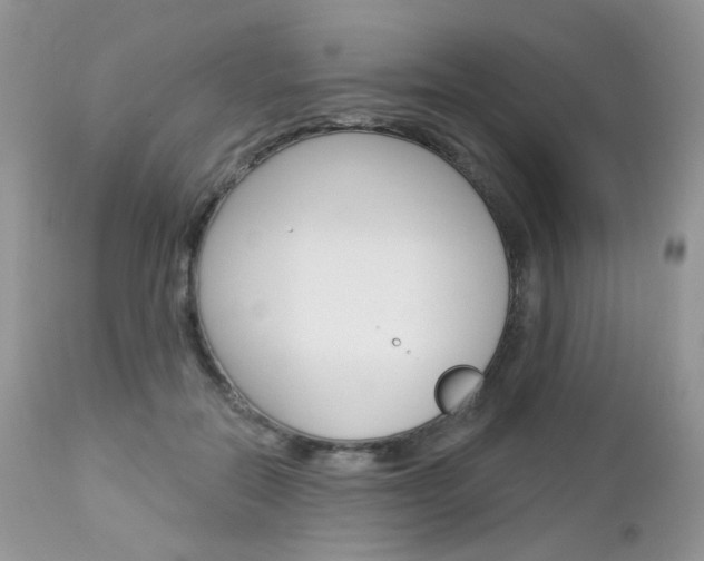 X0000113100554200908280954
