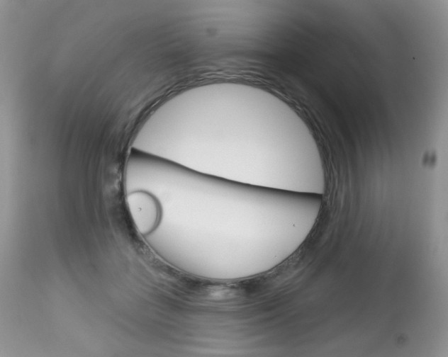 X0000113100555200908280954