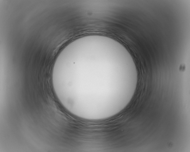 X0000113100556200908280954
