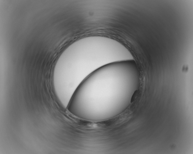 X0000113100558200908280954