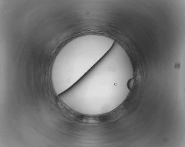 X0000113100559200908280954