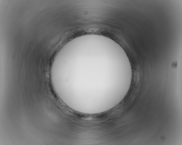 X0000113100561200908280954