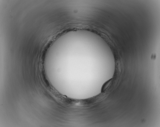 X0000113100564200908280955