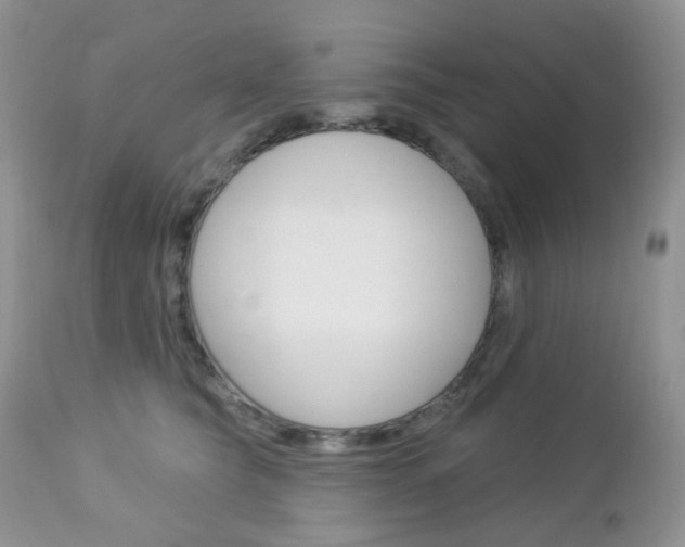 X0000113100565200908280955