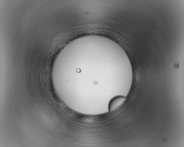 X0000113100567200908280955