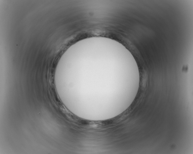 X0000113100569200908280955