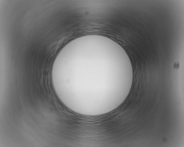 X0000113100570200908280955