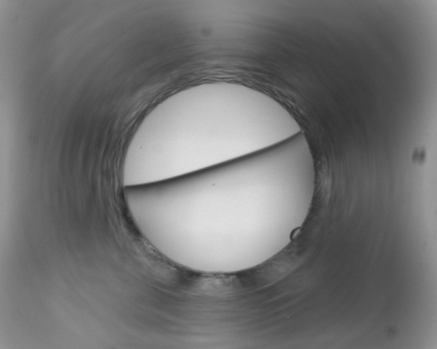 X0000113100571200908280955