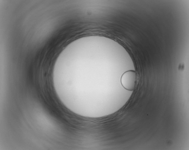 X0000113100572200908280955