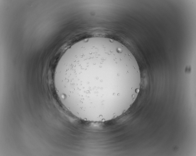 X0000113100573200908280955