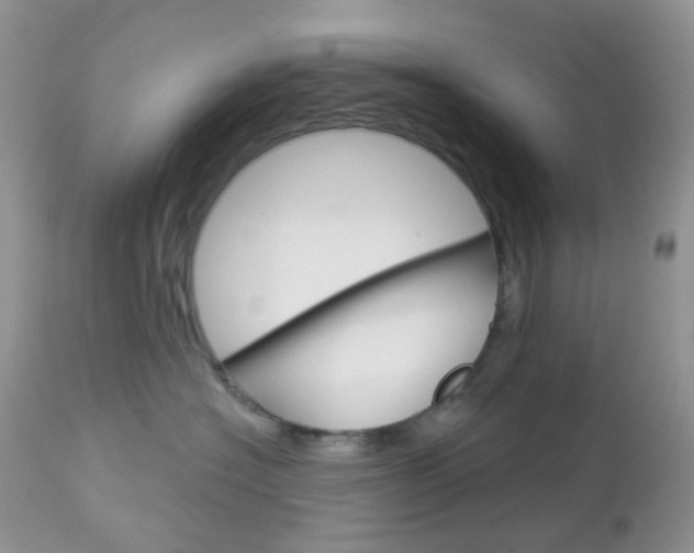 X0000113100574200908280955