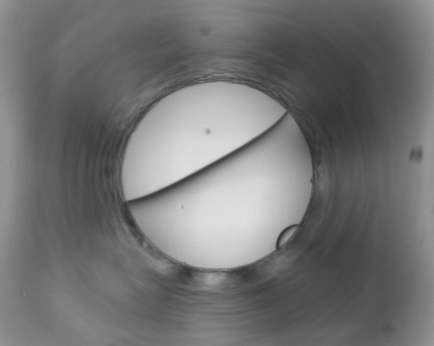 X0000113100575200908280955