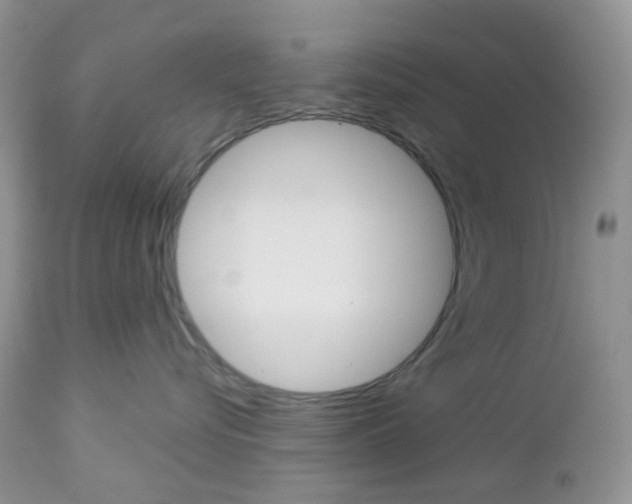 X0000113100576200908280955