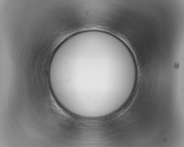 X0000113100577200908280954