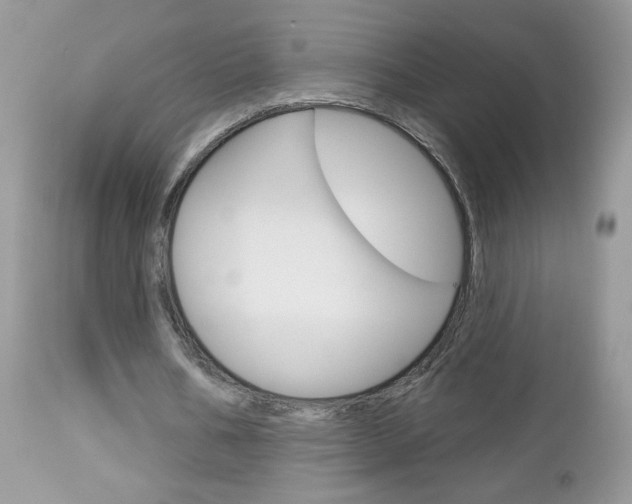 X0000113100578200908280954