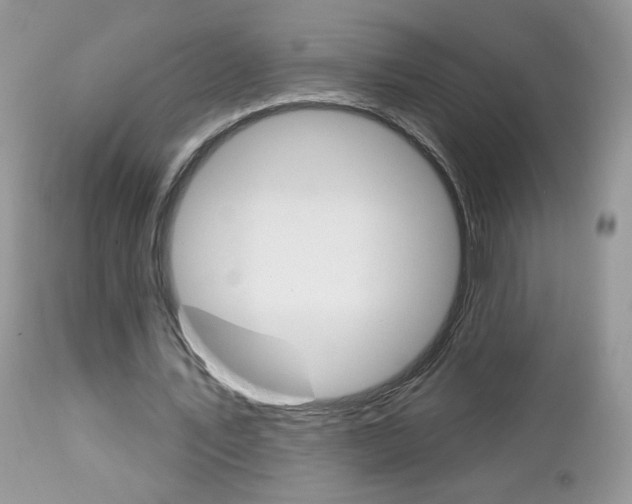 X0000113100579200908280954