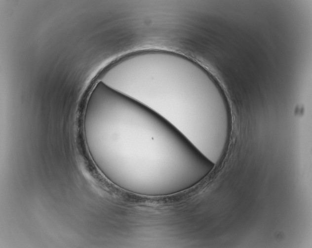 X0000113100580200908280954
