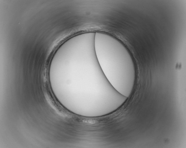 X0000113100582200908280954