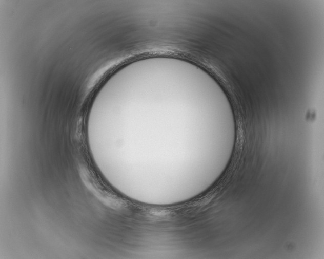 X0000113100583200908280954