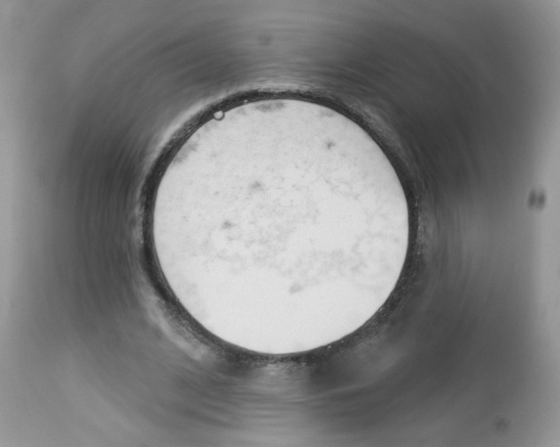 X0000113100584200908280954