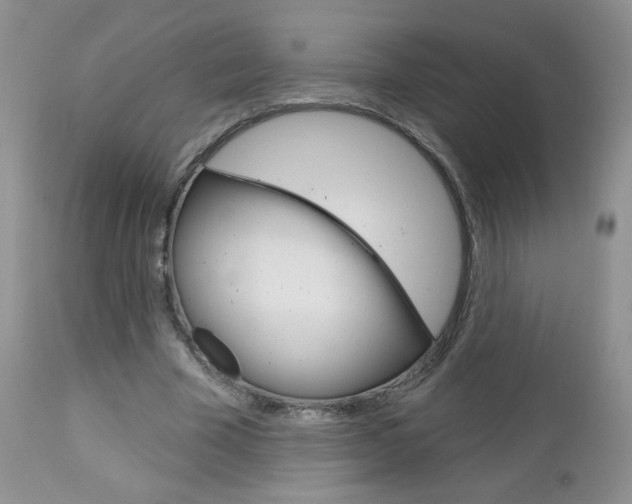 X0000113100585200908280954