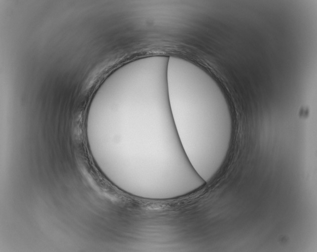 X0000113100586200908280954
