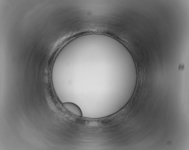 X0000113100587200908280954