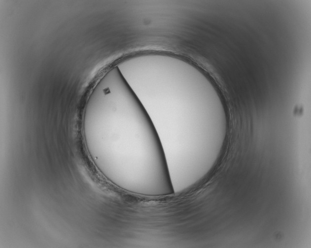 X0000113100588200908280954