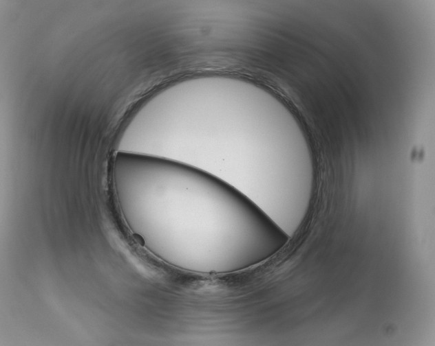 X0000113100589200908280954