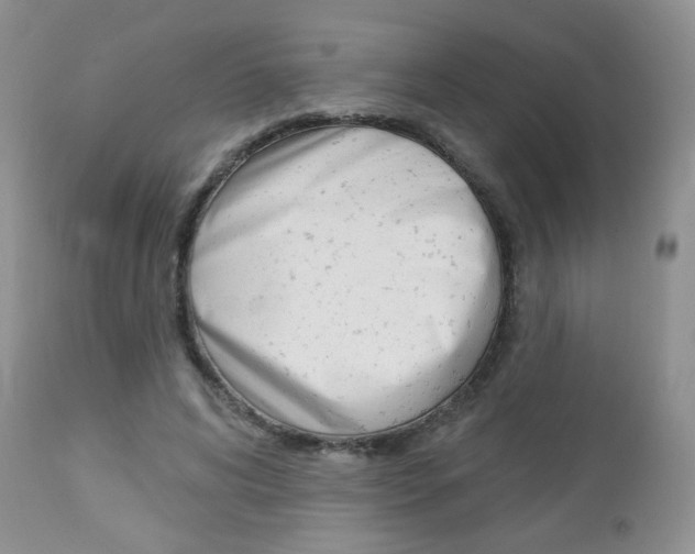 X0000113100592200908280954