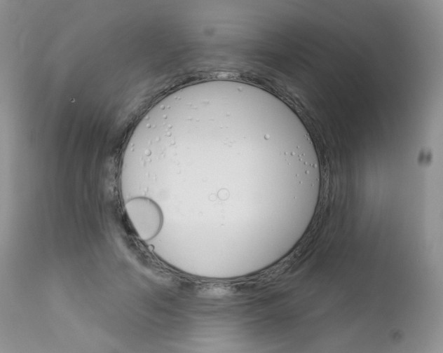X0000113100594200908280954
