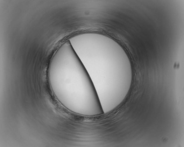 X0000113100596200908280954