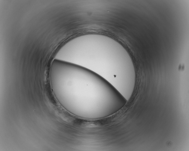 X0000113100597200908280954