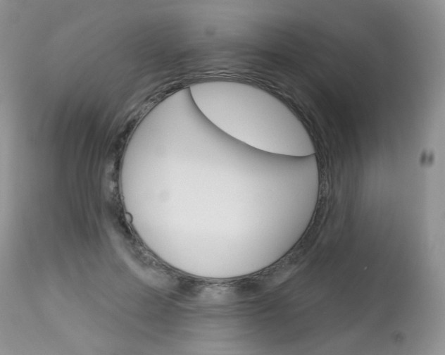X0000113100599200908280954
