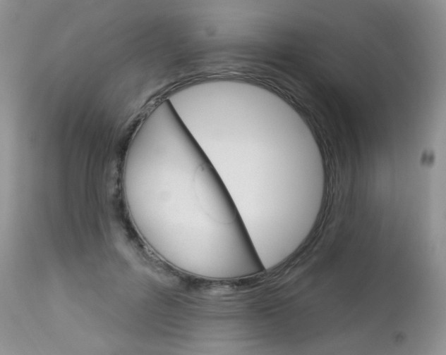 X0000113100600200908280954