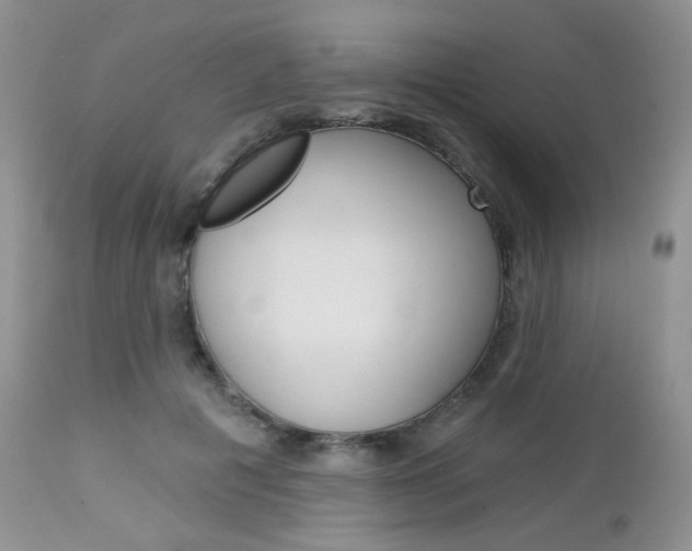 X0000113100601200908280954