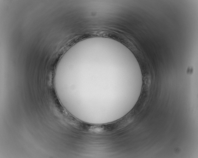 X0000113100602200908280954