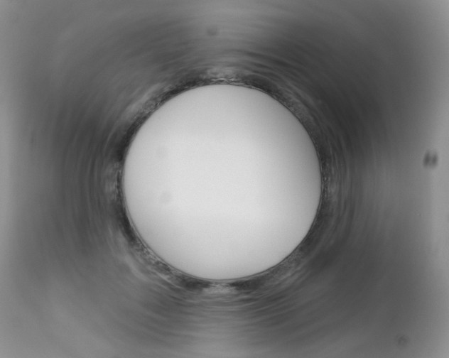 X0000113100603200908280953