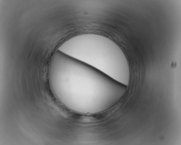 X0000113100605200908280953