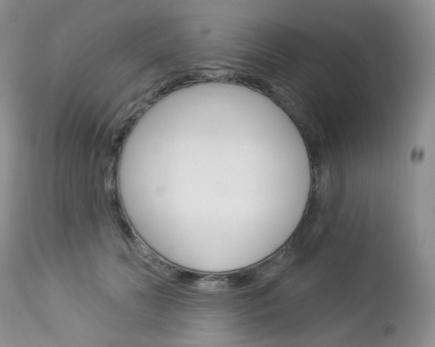 X0000113100606200908280953