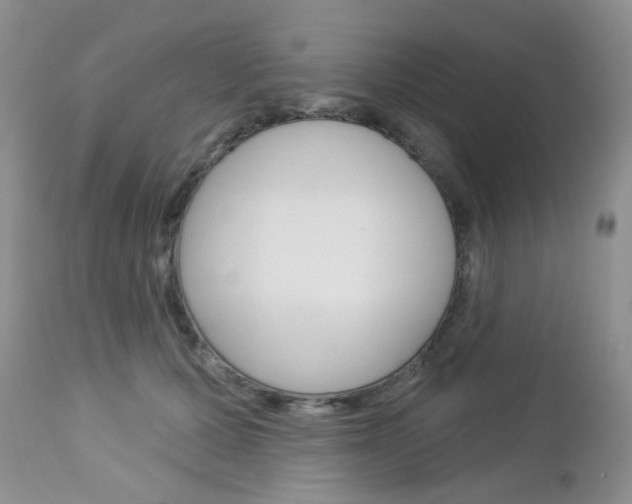 X0000113100607200908280953