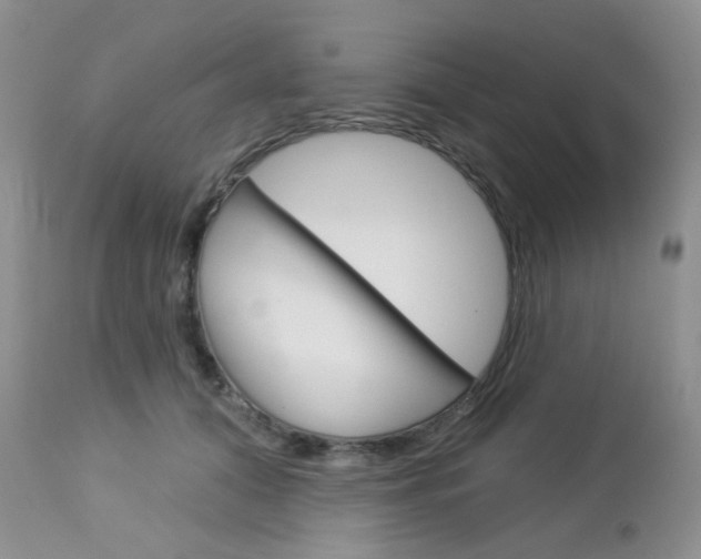 X0000113100608200908280953