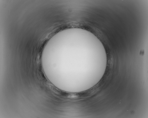 X0000113100610200908280953