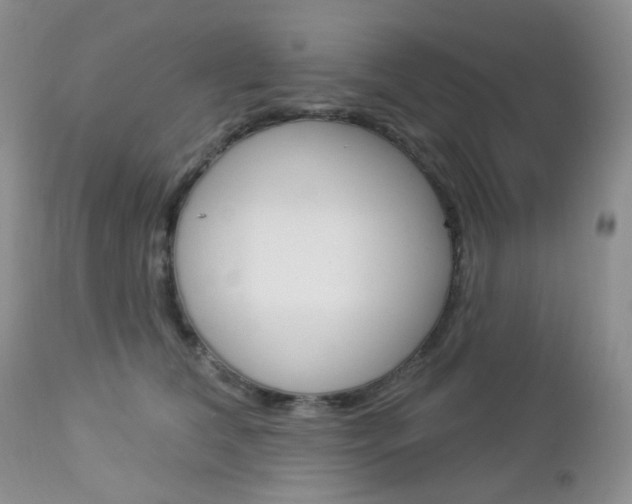 X0000113100612200908280953